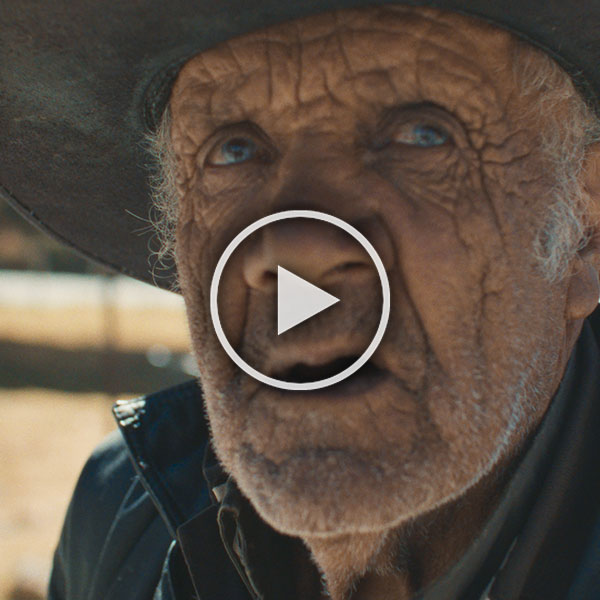 1.-BuscandoUnBurro-still-tr