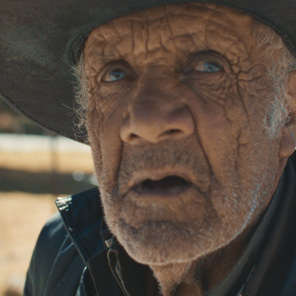 1.-BuscandoUnBurro-still