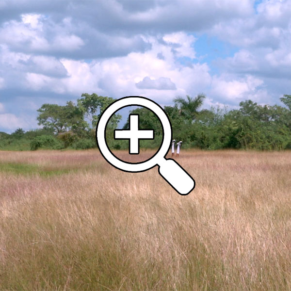 3.-TeExtranoPerdulario-still-1-zoom